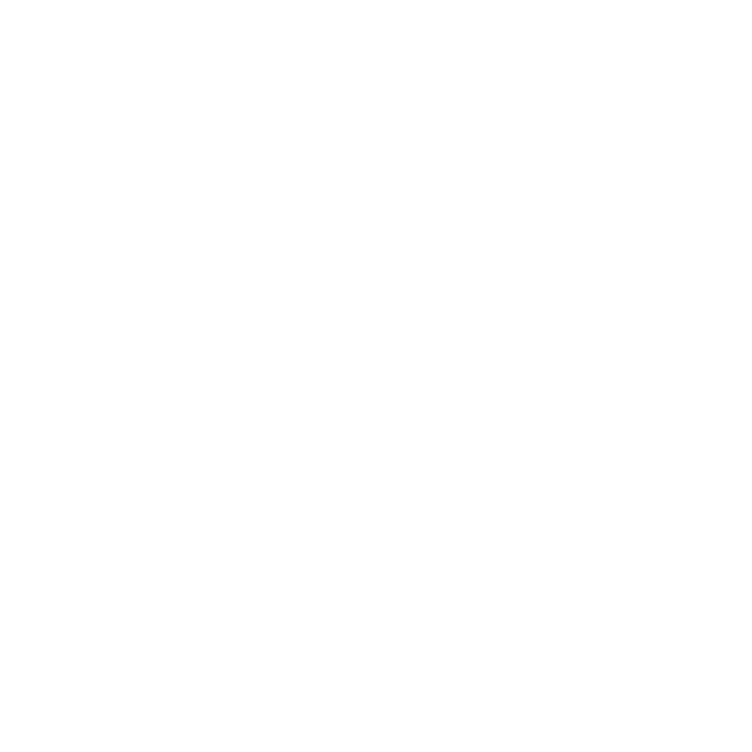 StayPut lock icon, white
